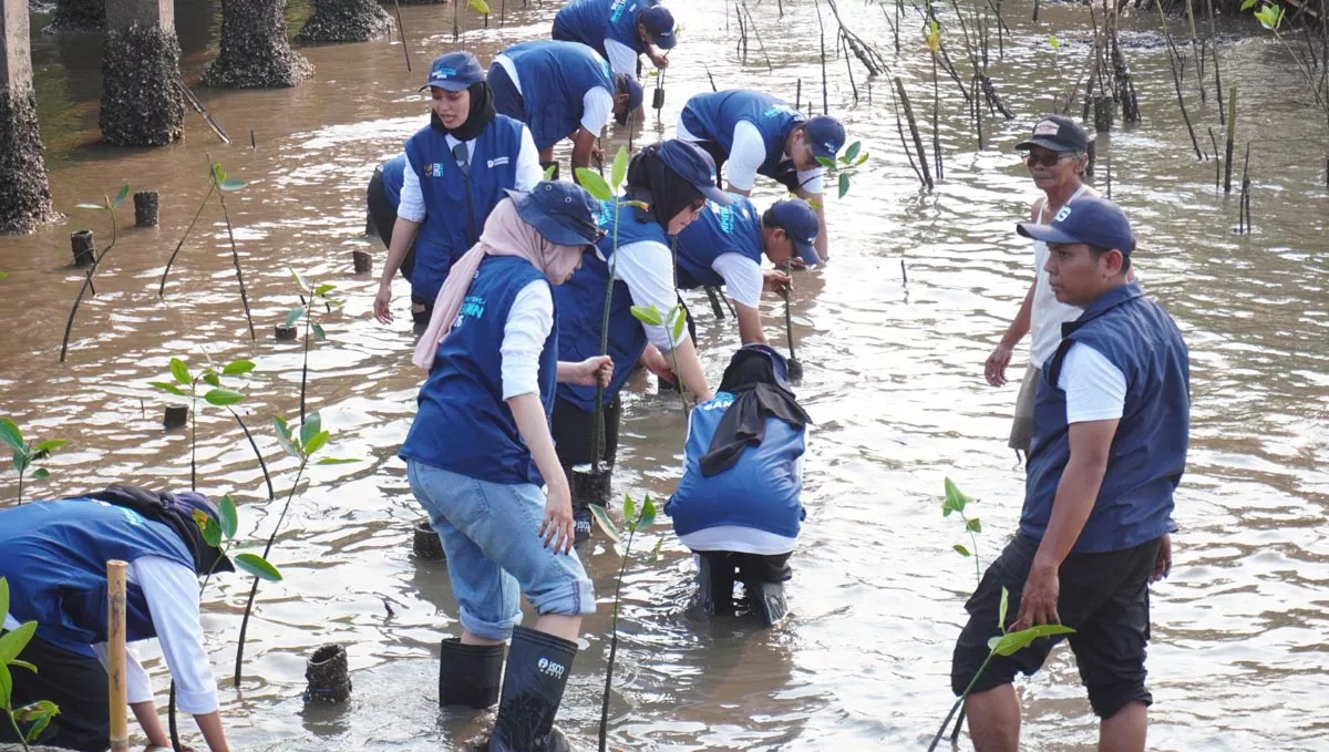 Dorong Ekowisata Pesisir, SIG Garap Pelestarian Mangrove Probolinggo